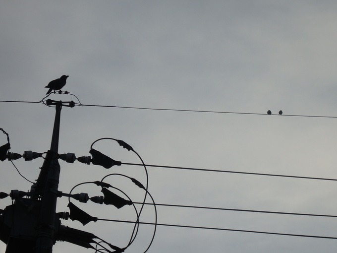 a0054240_214687.jpg