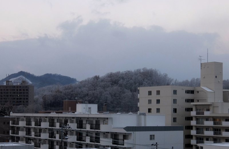 f0119643_16141511.jpg
