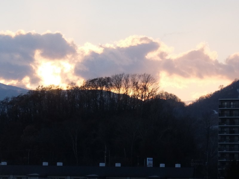 f0119643_16183331.jpg