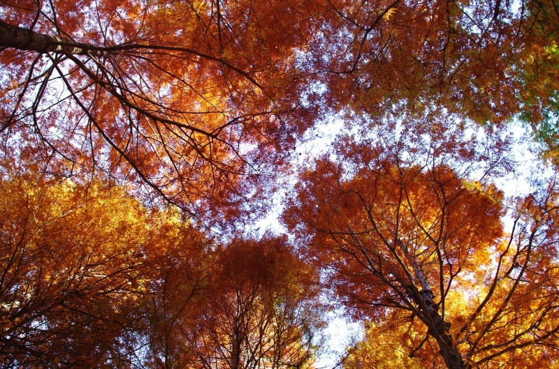 a0299749_22491974.jpg