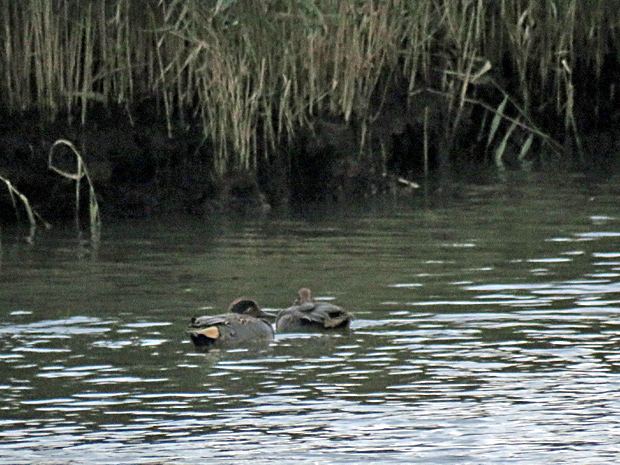 f0214649_4592418.jpg