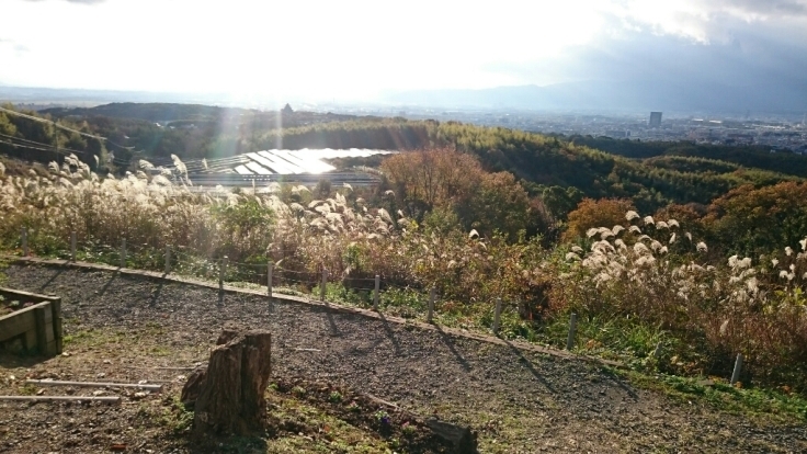 b0148050_18254779.jpg