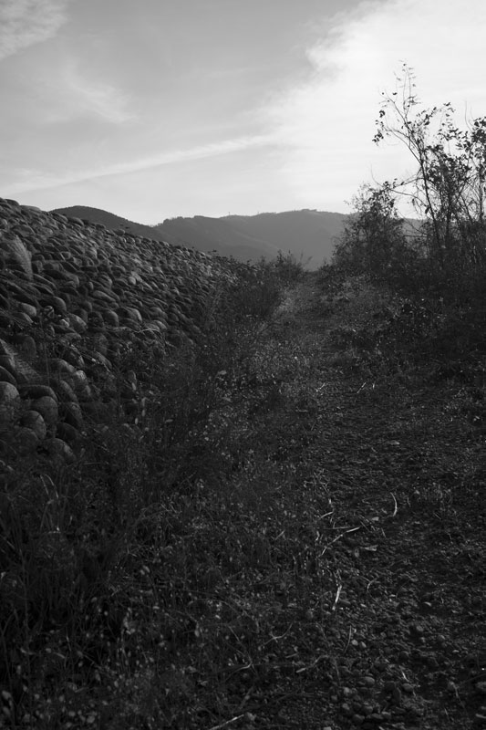 d0342652_1104351.jpg