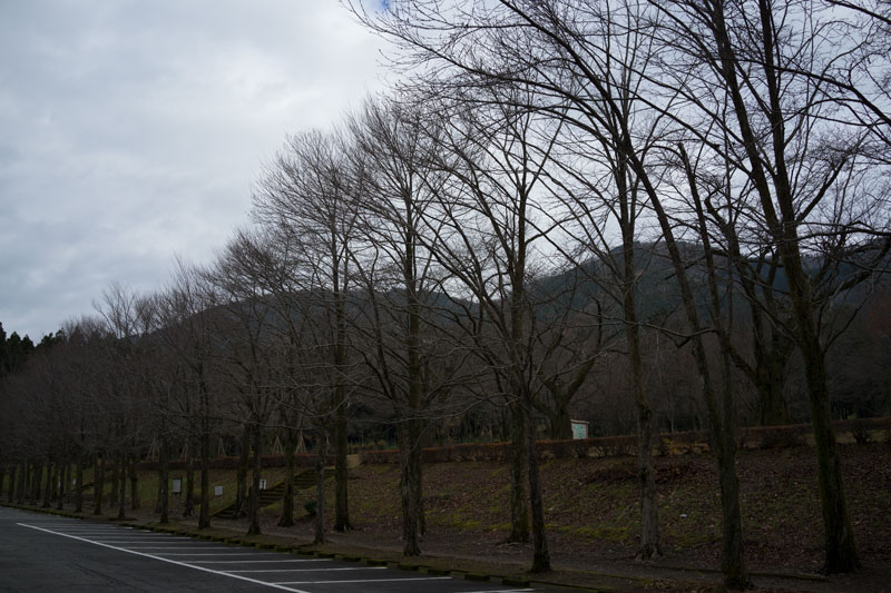 d0342652_6233259.jpg