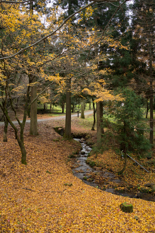 d0342652_6254196.jpg
