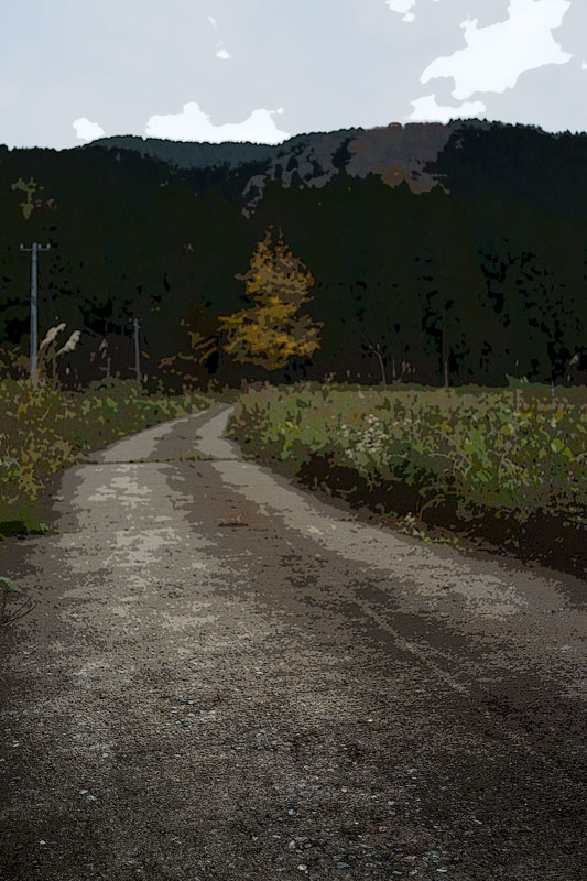 d0342652_6285377.jpg