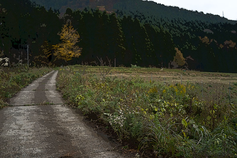 d0342652_6291776.jpg