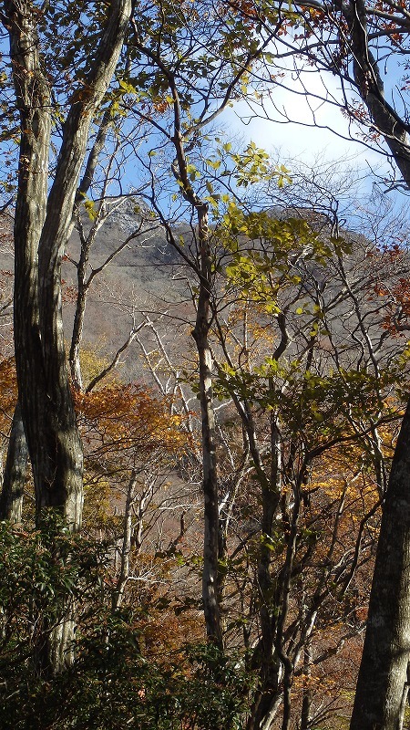 c0097754_20051677.jpg