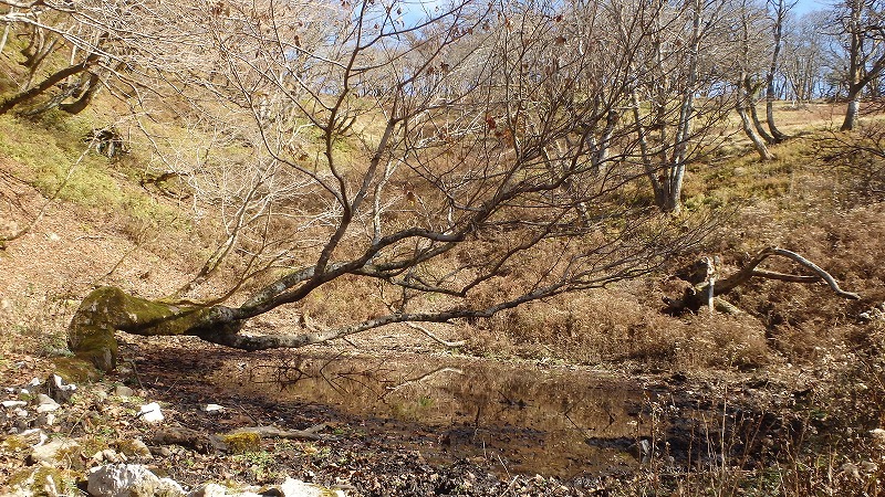 c0097754_20094069.jpg