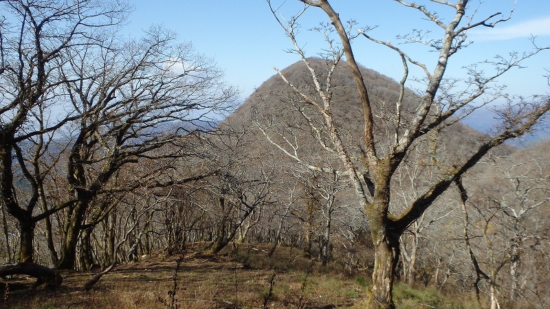 c0097754_20331580.jpg