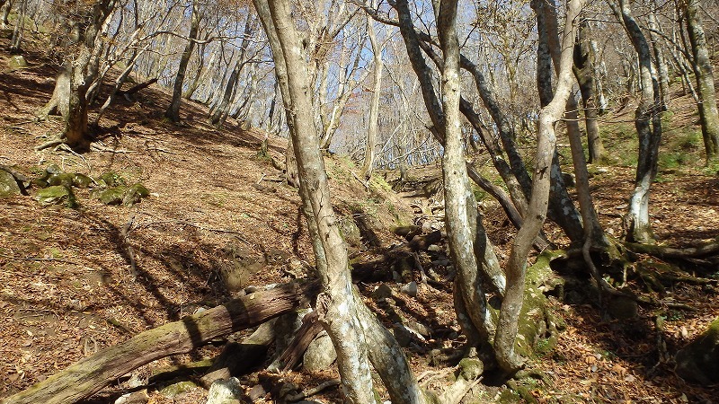 c0097754_20341807.jpg