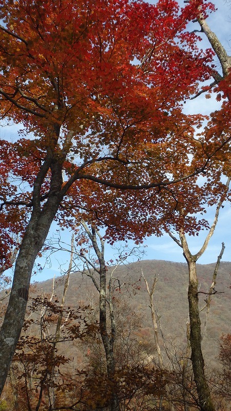 c0097754_20360754.jpg