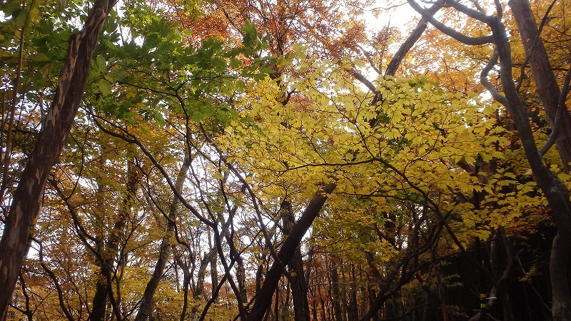 c0097754_20370310.jpg