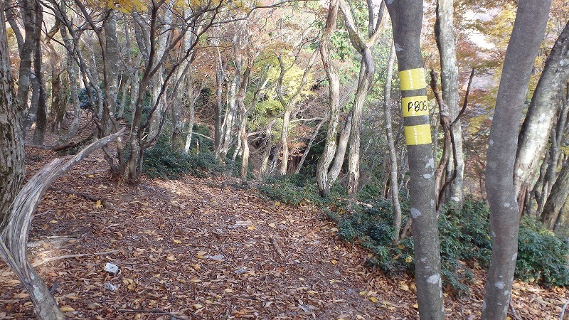 c0097754_20381560.jpg