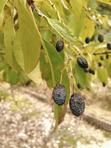 a0018655_14333606.jpg