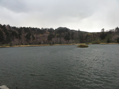 d0029363_15382695.jpg