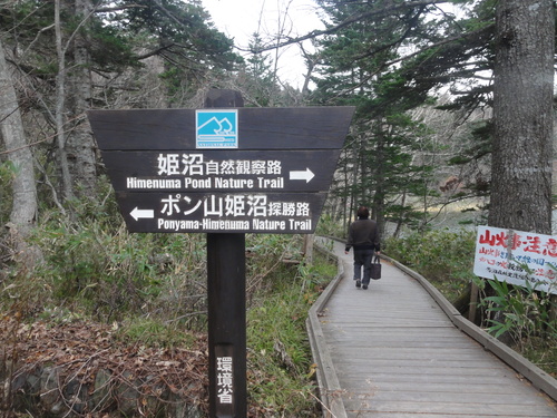 d0029363_153831.jpg