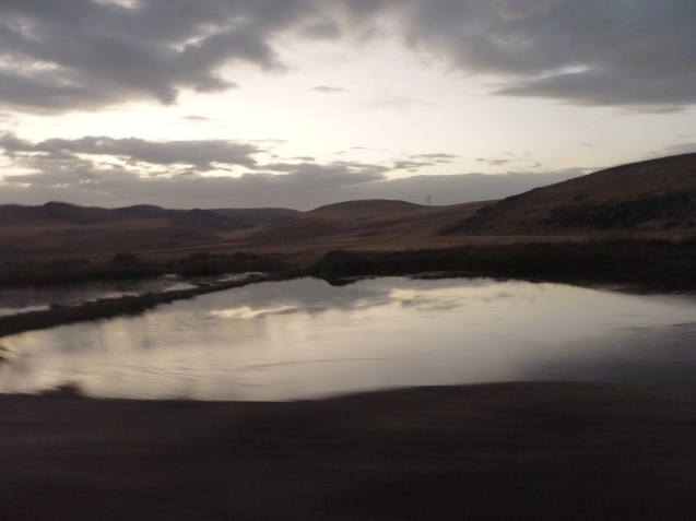 f0345263_10210631.jpg
