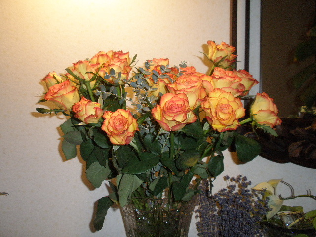 d0150967_23371838.jpg