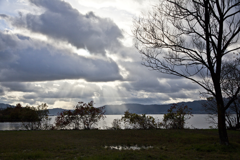 c0131875_20010622.jpg