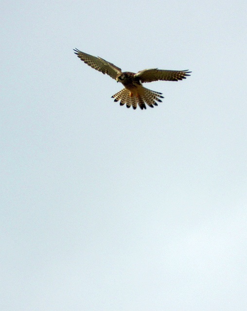 f0378979_1952613.jpg