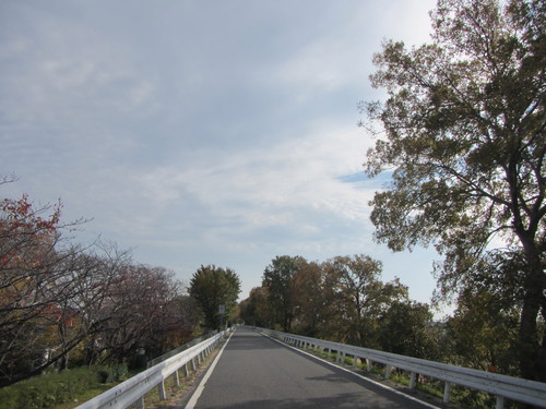 a0251786_2211756.jpg
