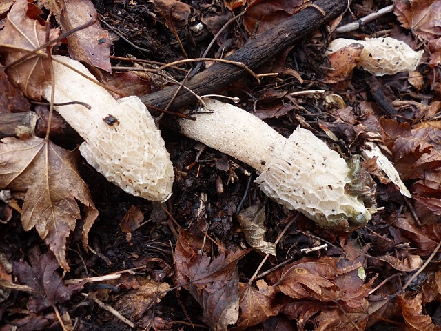 f0357487_16334563.jpg