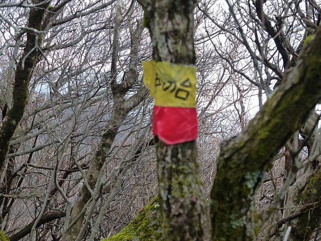 f0357487_1641748.jpg