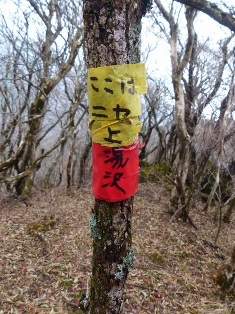 f0357487_1939332.jpg