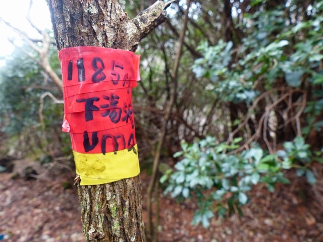f0357487_20103988.jpg