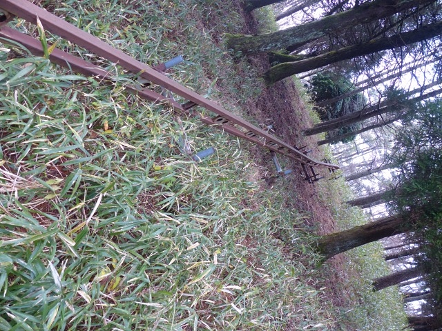f0357487_20273457.jpg
