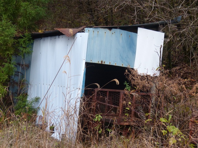 f0357487_2033084.jpg