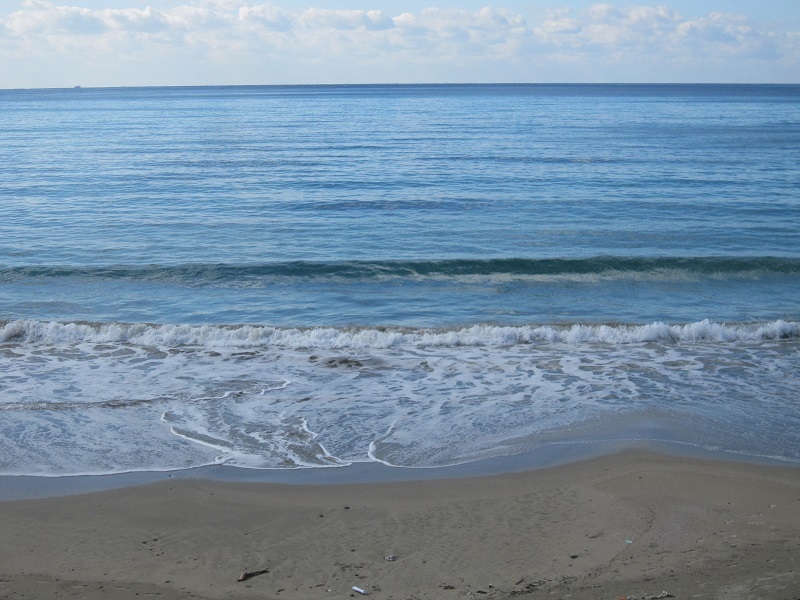 a0170390_21311251.jpg