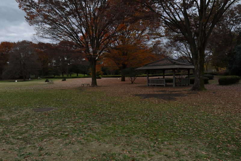 a0290990_21591156.jpg