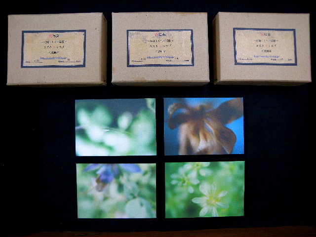 a0199297_22491423.jpg