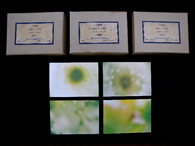 a0199297_22495068.jpg