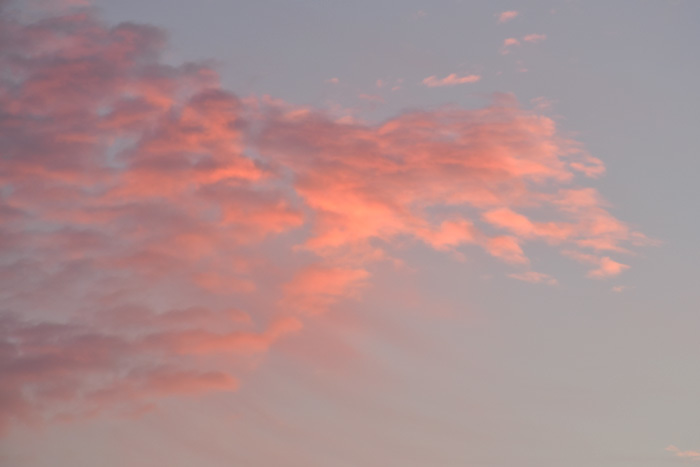 c0049299_22112970.jpg