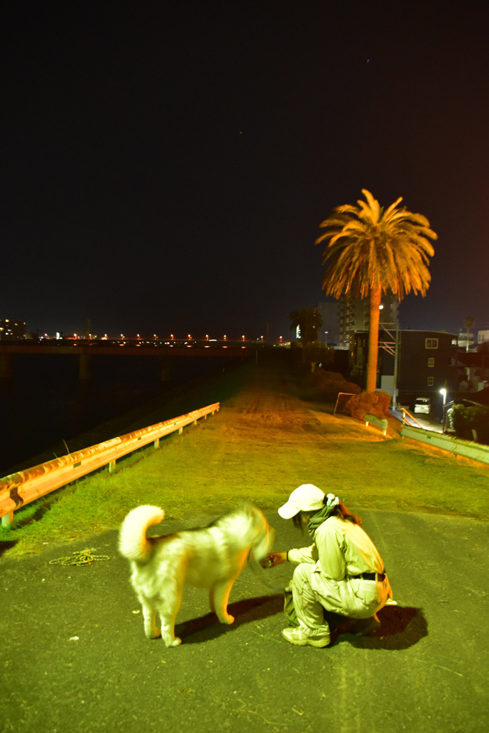 c0049299_22145793.jpg