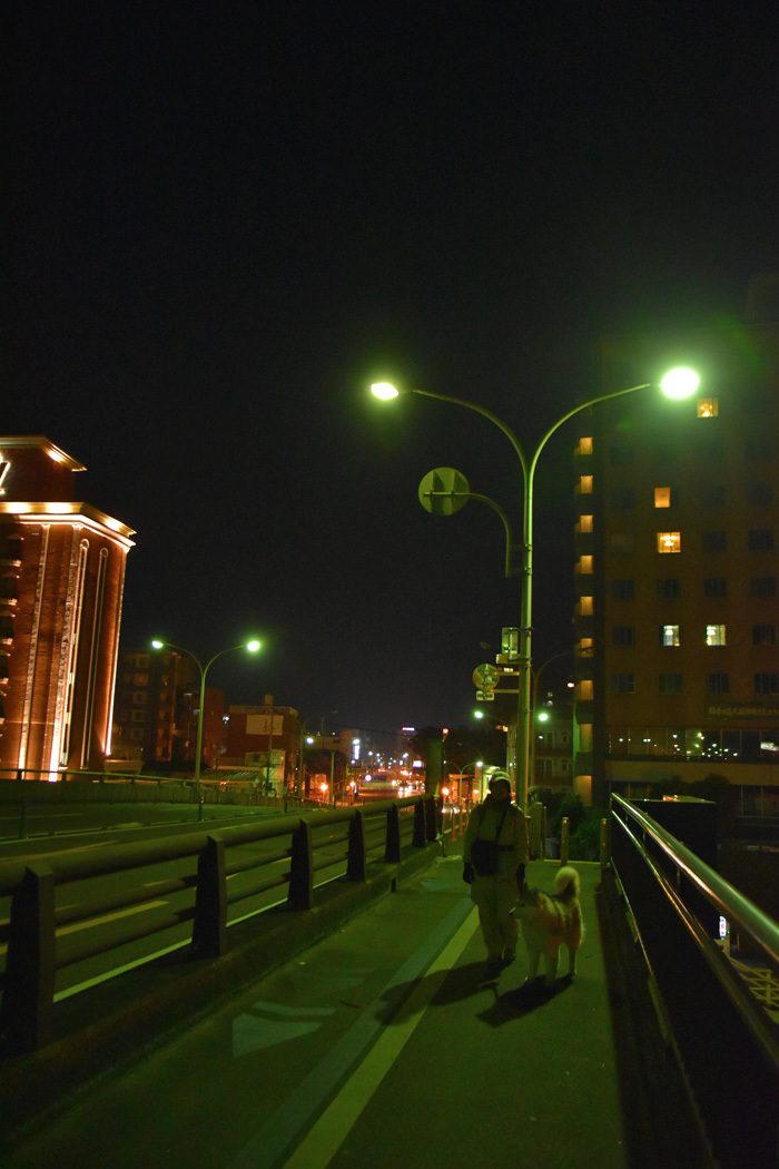 c0049299_22151927.jpg