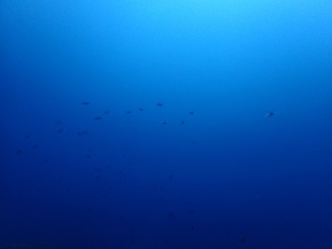 e0115199_16392037.jpg