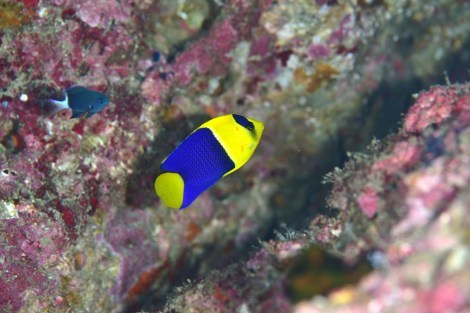 e0115199_17293700.jpg