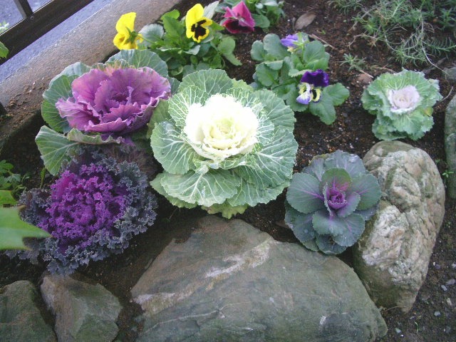 e0025300_20103672.jpg