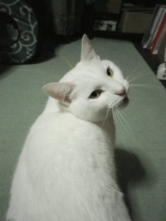 f0239100_2234421.jpg