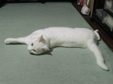 f0239100_2242268.jpg