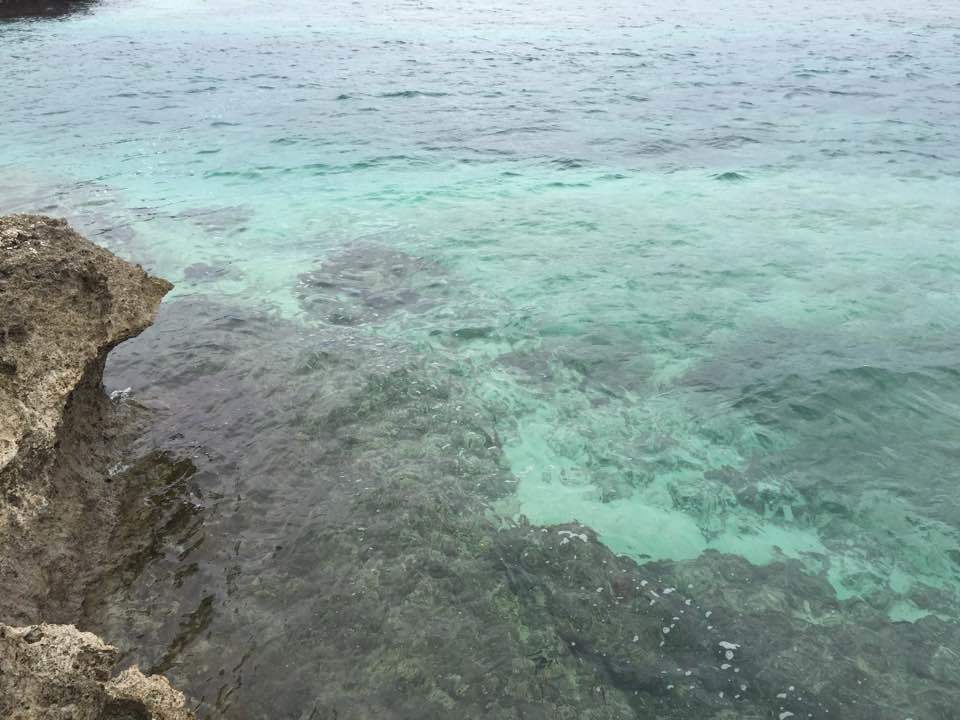 d0024504_23160979.jpg