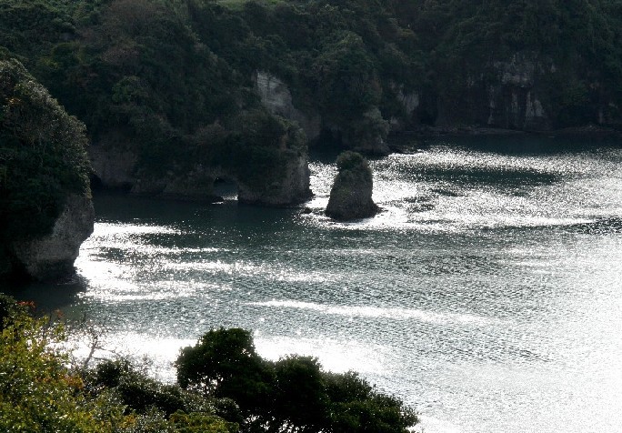 d0140806_1352261.jpg