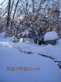 b0200310_0181643.jpg