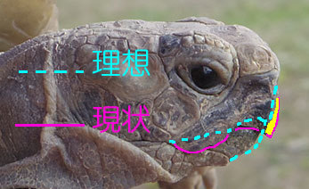 a0193314_18450626.jpg