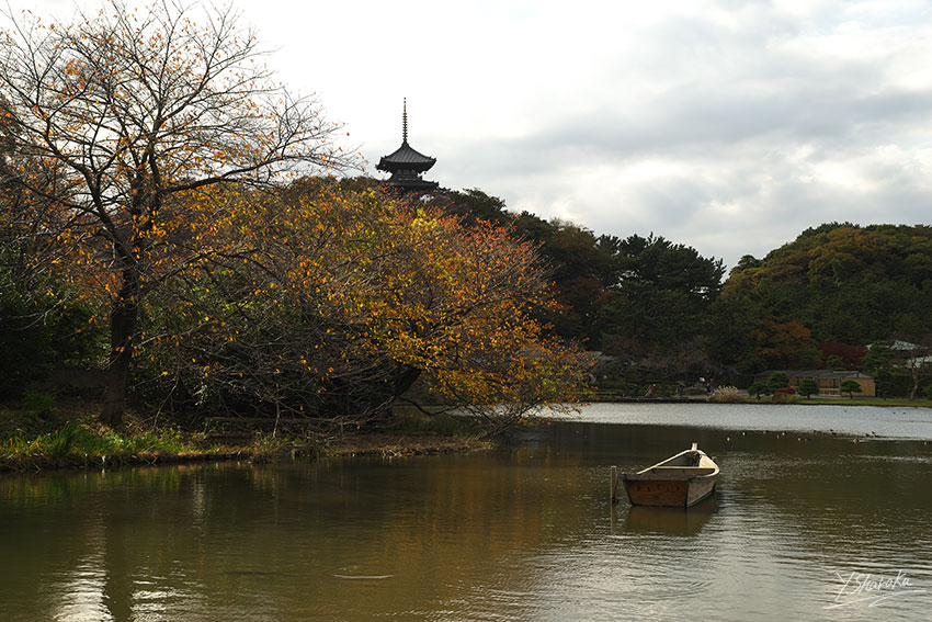 f0344614_2313236.jpg