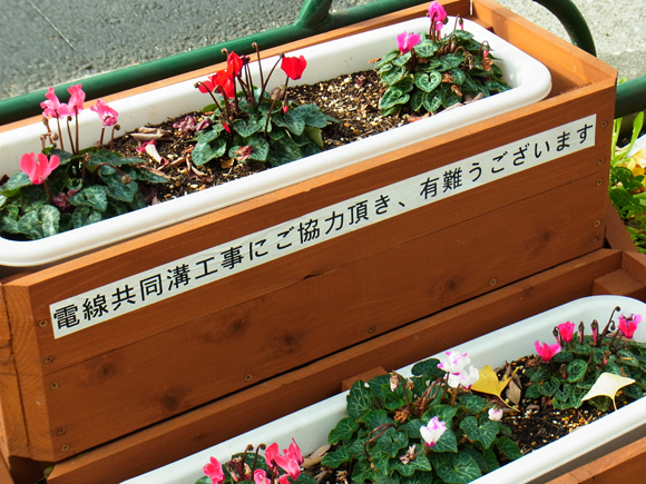 e0083517_01195819.jpg